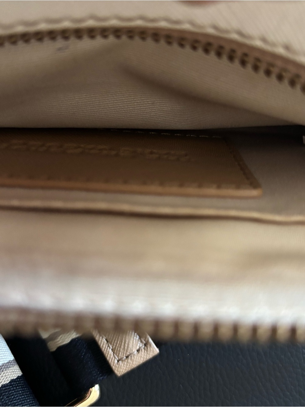 Marc Jacobs Tan & Black Snapshot Crossbody with Striped Strap - Picture 11 of 11